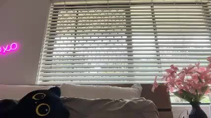 novamills image 2026.09.16