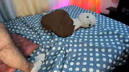6_bunny_9 image 2026.09.26